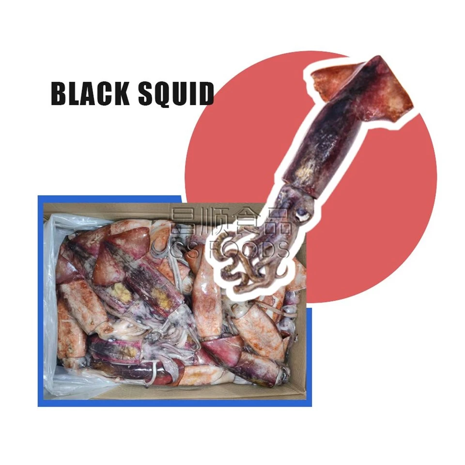 Frozen Black Squid