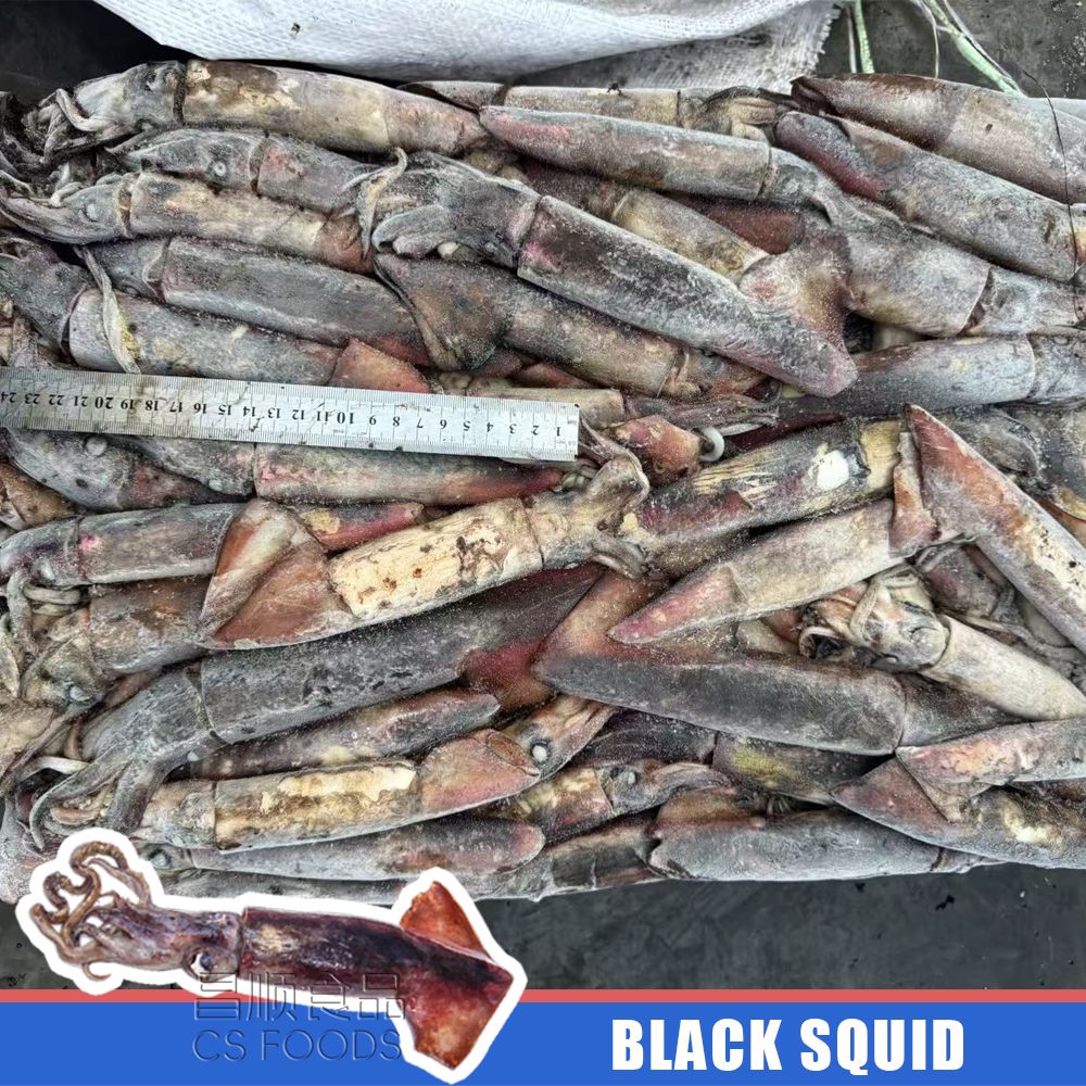black squid black squid