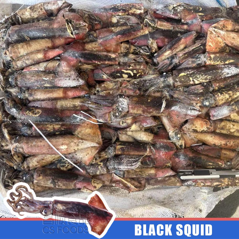 black squid black squid